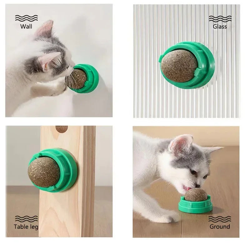 Catnip premium para gatos | CatnipBliss – juego y relajación natural