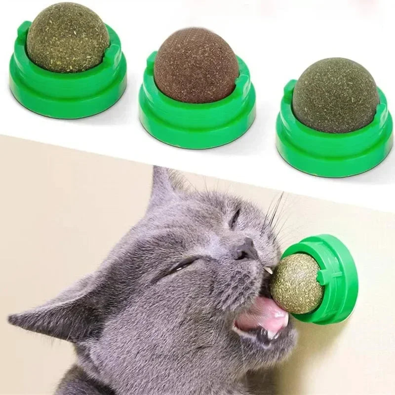 Catnip premium para gatos | CatnipBliss – juego y relajación natural
