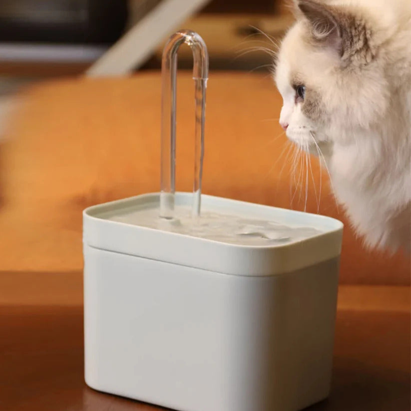 gato bebiendo agua fresca en ProximityFlow