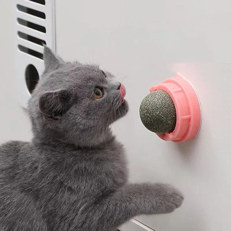 gato jugando feliz con bola de catnip que se adhiere a la pared