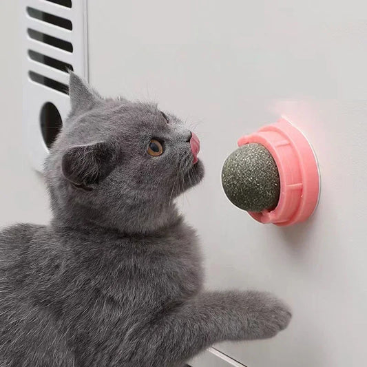 gato jugando feliz con bola de catnip que se adhiere a la pared