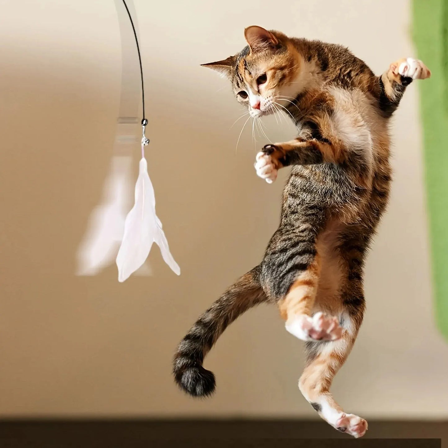 gatito feliz con juguete de caza para felinos con plumas