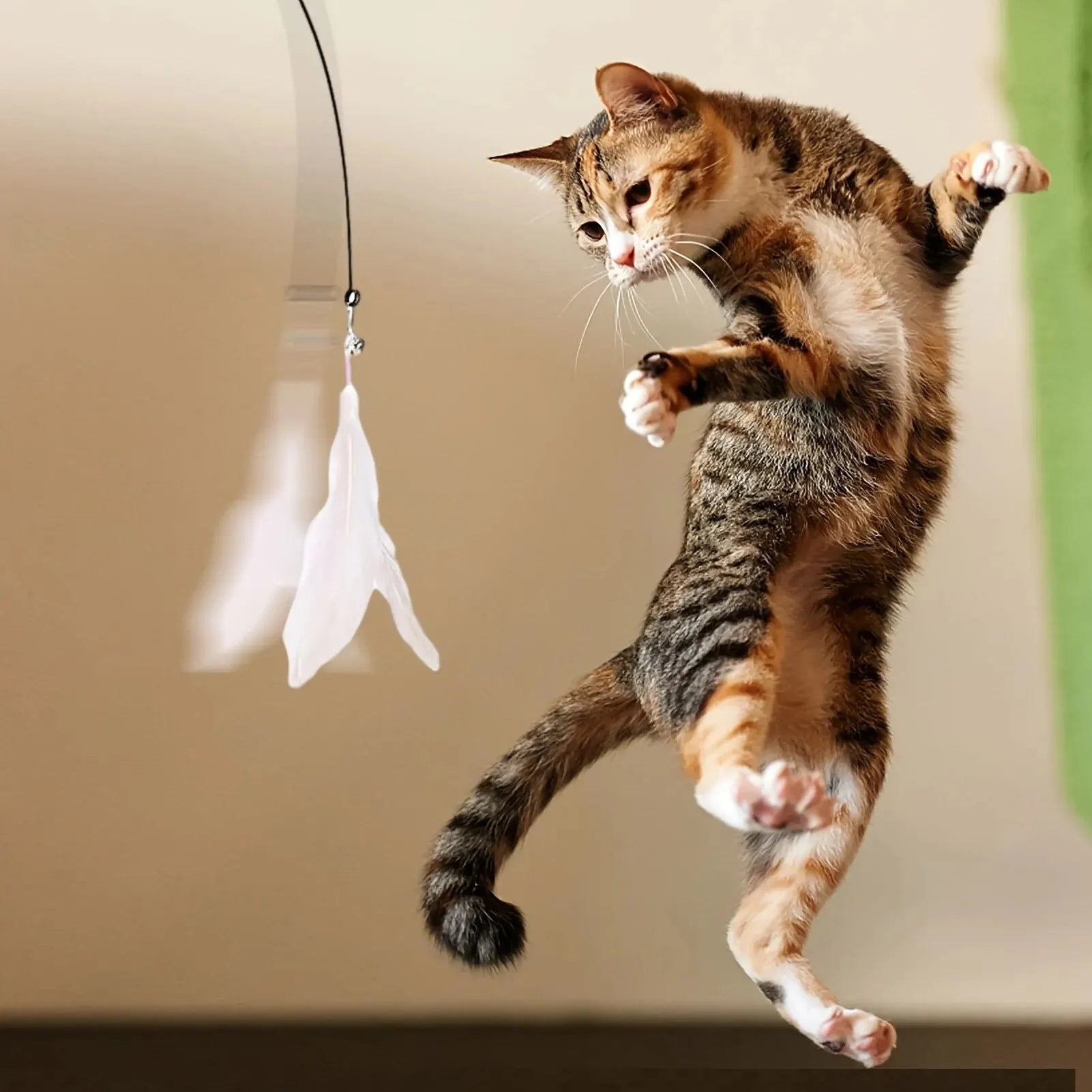 gatito feliz con juguete de caza para felinos con plumas