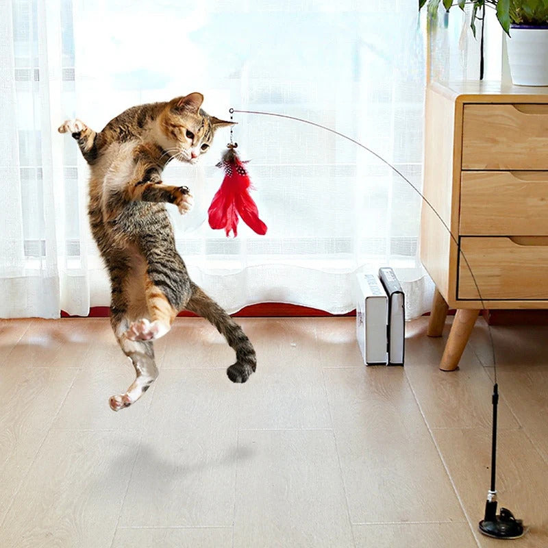 gato jugando con varita CatVenture en salón